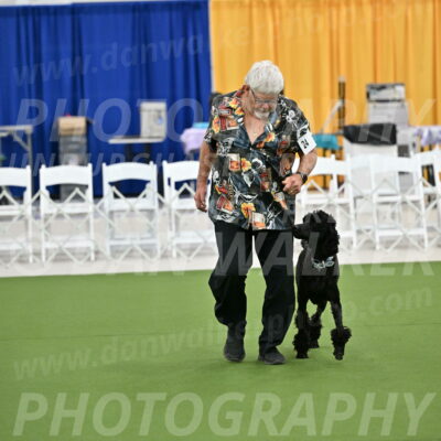 Ring-2-Morning-Obedience_0251