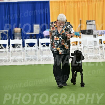 Ring-2-Morning-Obedience_0252