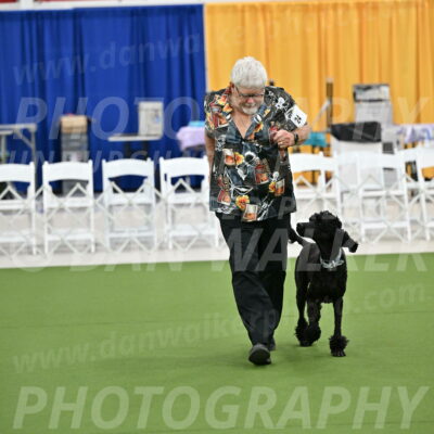 Ring-2-Morning-Obedience_0253