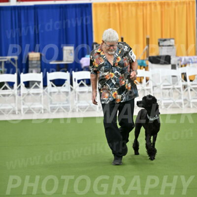 Ring-2-Morning-Obedience_0254