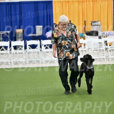 Ring-2-Morning-Obedience_0255