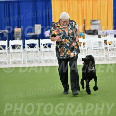 Ring-2-Morning-Obedience_0256