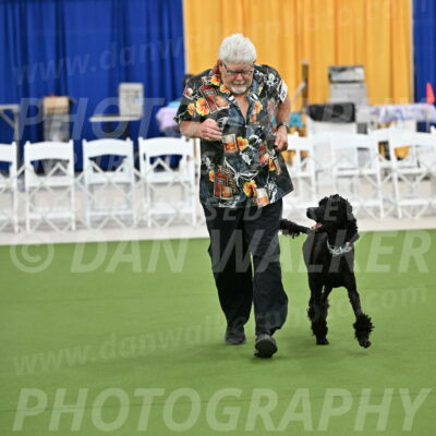 Ring-2-Morning-Obedience_0257