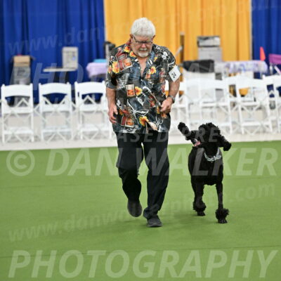 Ring-2-Morning-Obedience_0258