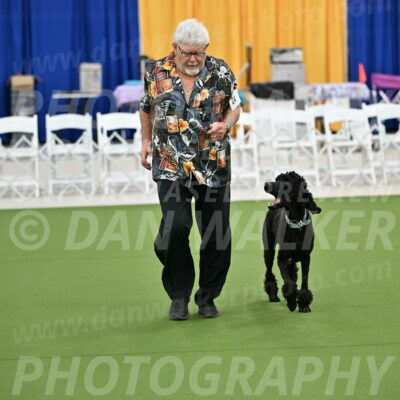 Ring-2-Morning-Obedience_0259