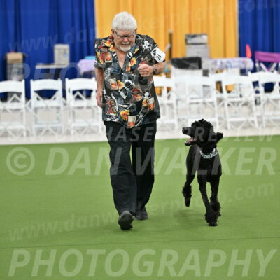 Ring-2-Morning-Obedience_0260