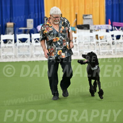 Ring-2-Morning-Obedience_0262