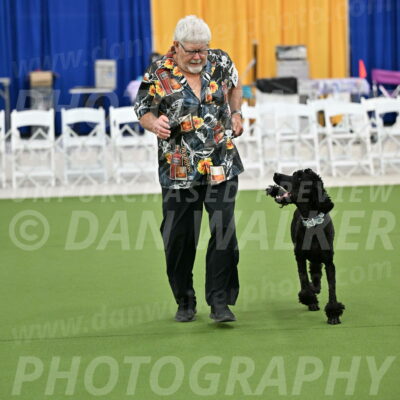 Ring-2-Morning-Obedience_0263