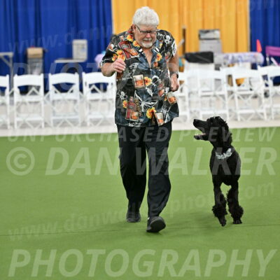 Ring-2-Morning-Obedience_0264