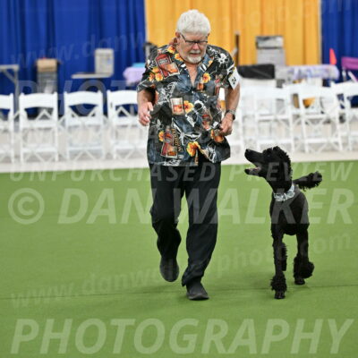 Ring-2-Morning-Obedience_0265