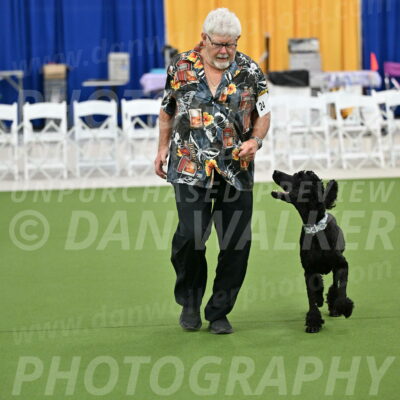 Ring-2-Morning-Obedience_0266