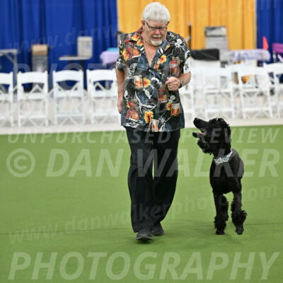 Ring-2-Morning-Obedience_0267