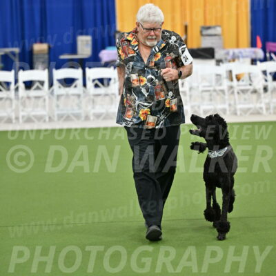 Ring-2-Morning-Obedience_0268