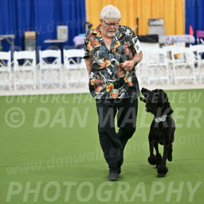 Ring-2-Morning-Obedience_0269