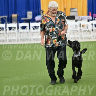 Ring-2-Morning-Obedience_0270