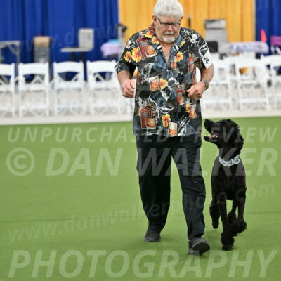 Ring-2-Morning-Obedience_0272