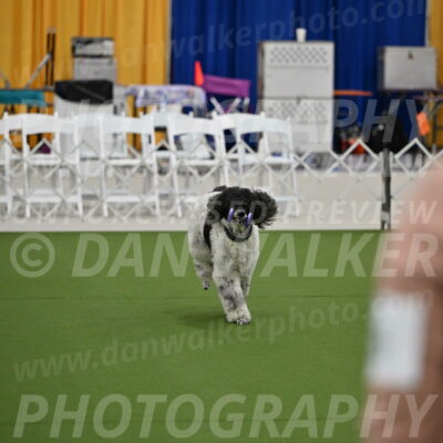 Ring-2-Morning-Obedience_0335