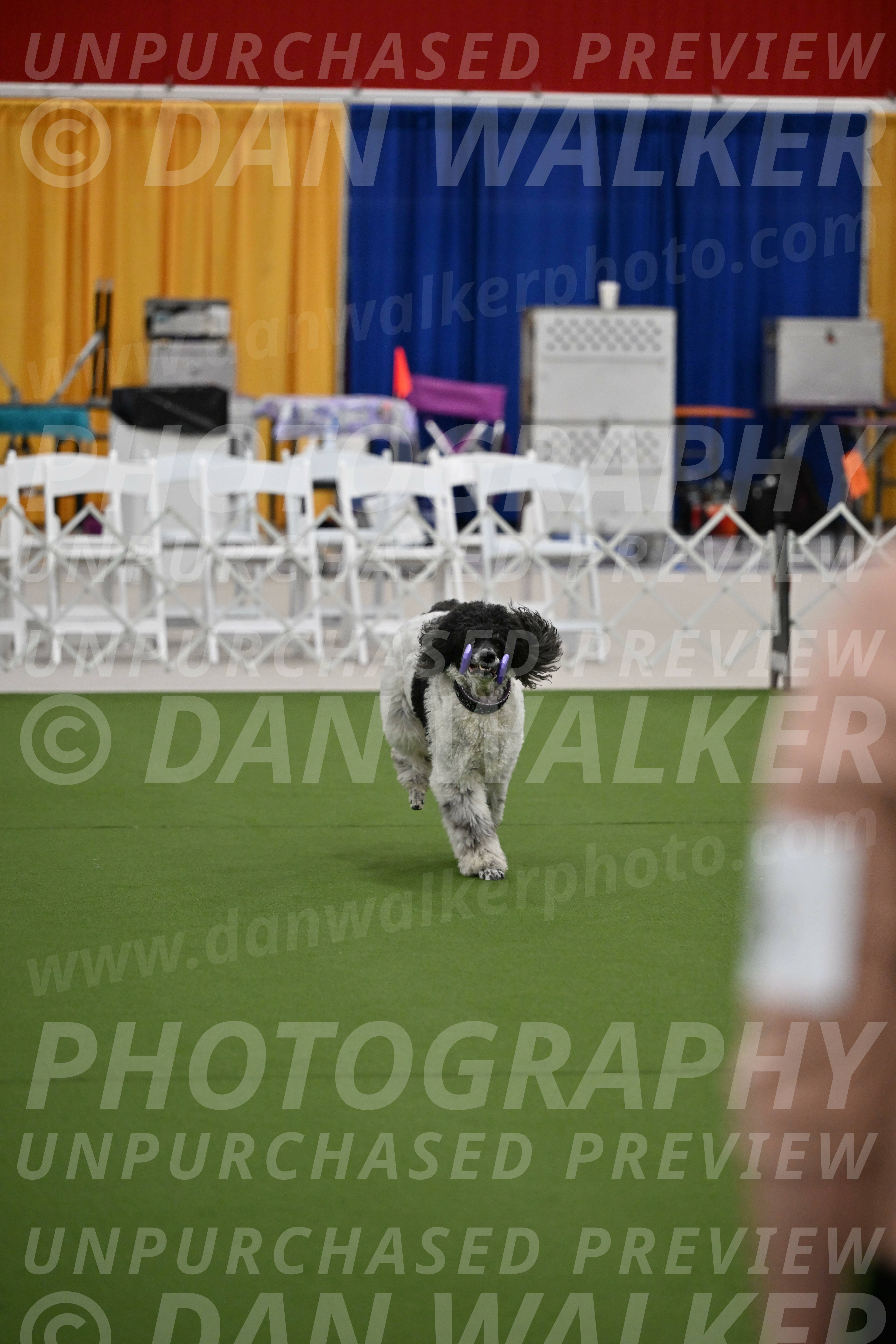 Ring-2-Morning-Obedience_0335