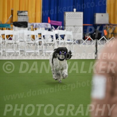 Ring-2-Morning-Obedience_0336