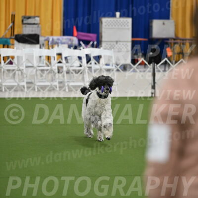 Ring-2-Morning-Obedience_0337