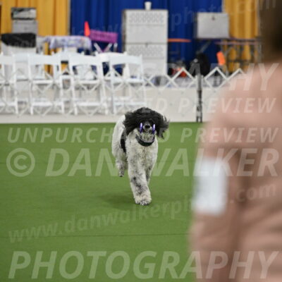 Ring-2-Morning-Obedience_0339