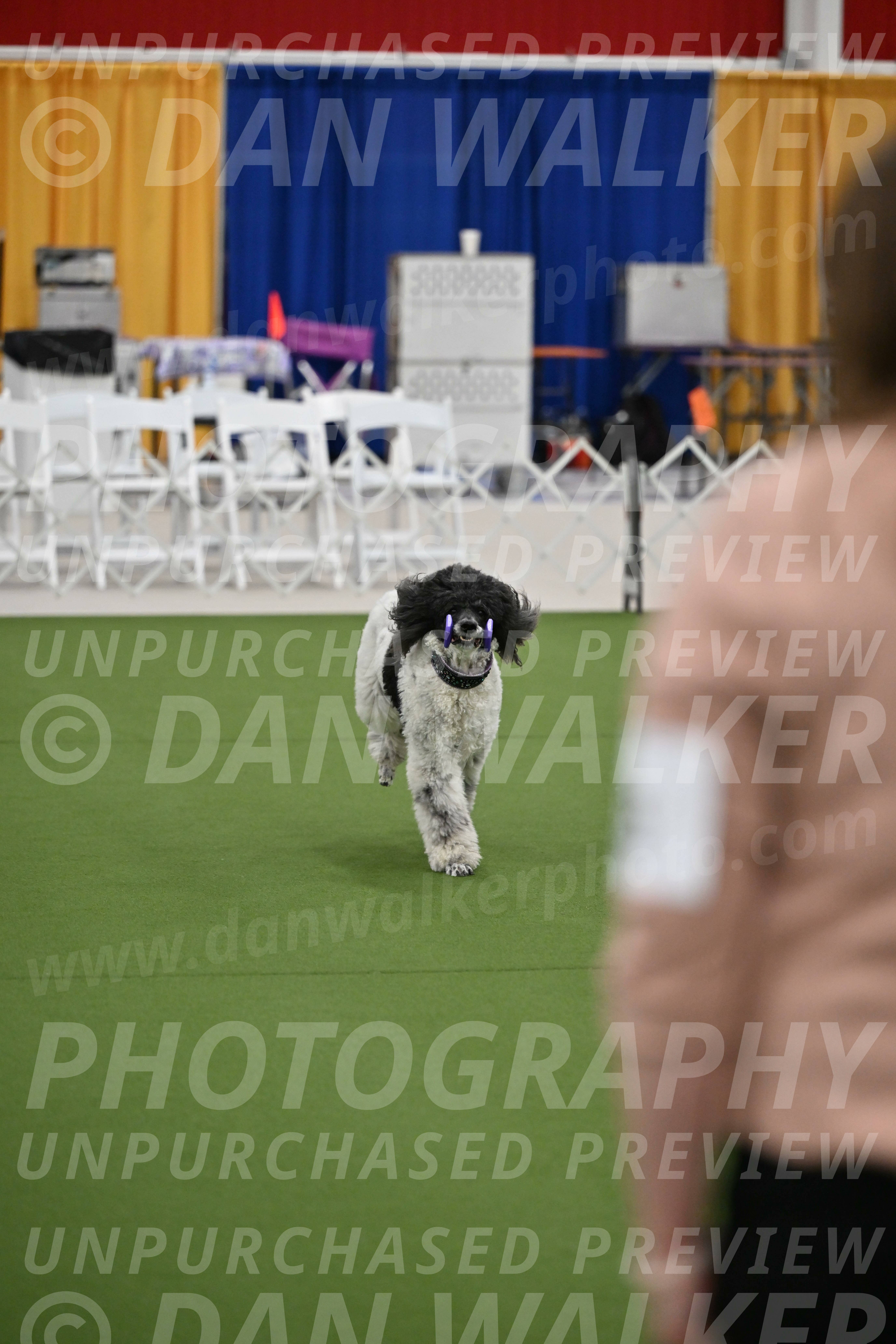 Ring-2-Morning-Obedience_0339