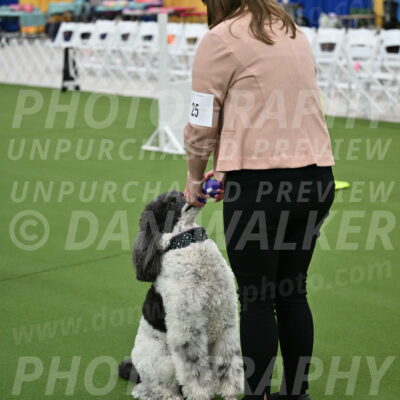 Ring-2-Morning-Obedience_0347