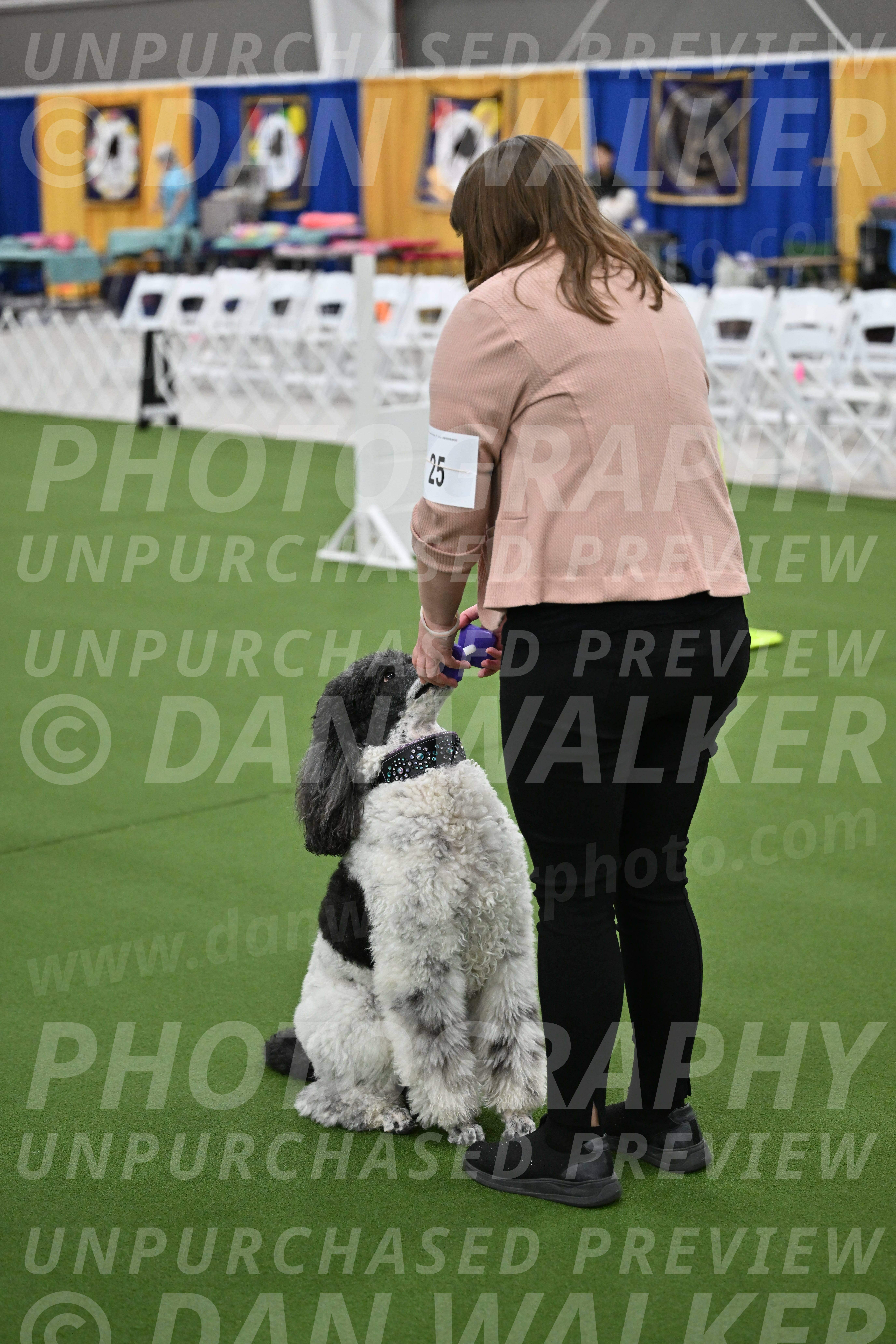 Ring-2-Morning-Obedience_0347