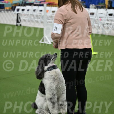 Ring-2-Morning-Obedience_0348