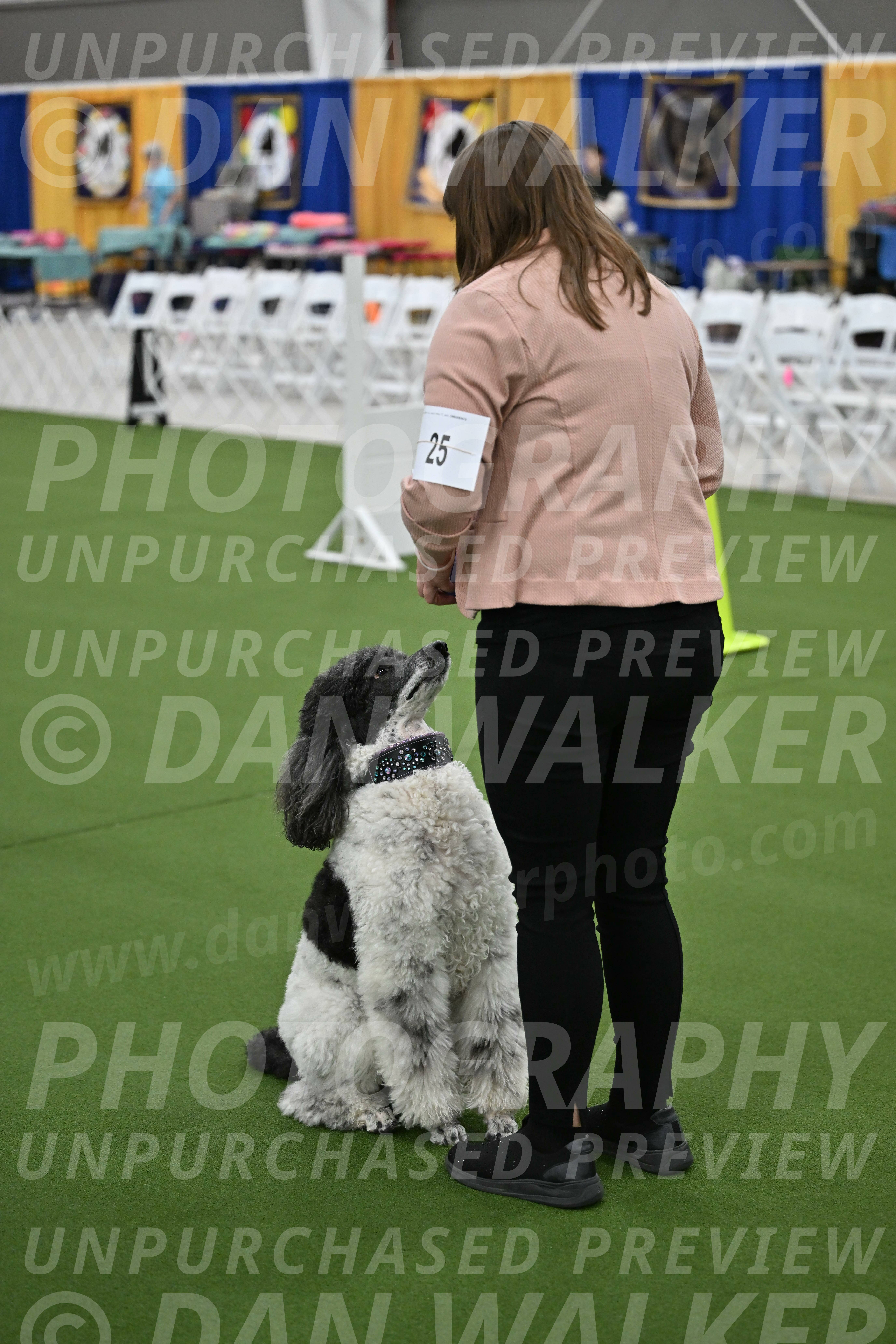 Ring-2-Morning-Obedience_0348