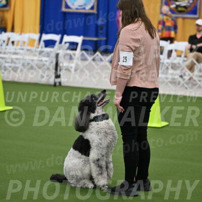 Ring-2-Morning-Obedience_0373