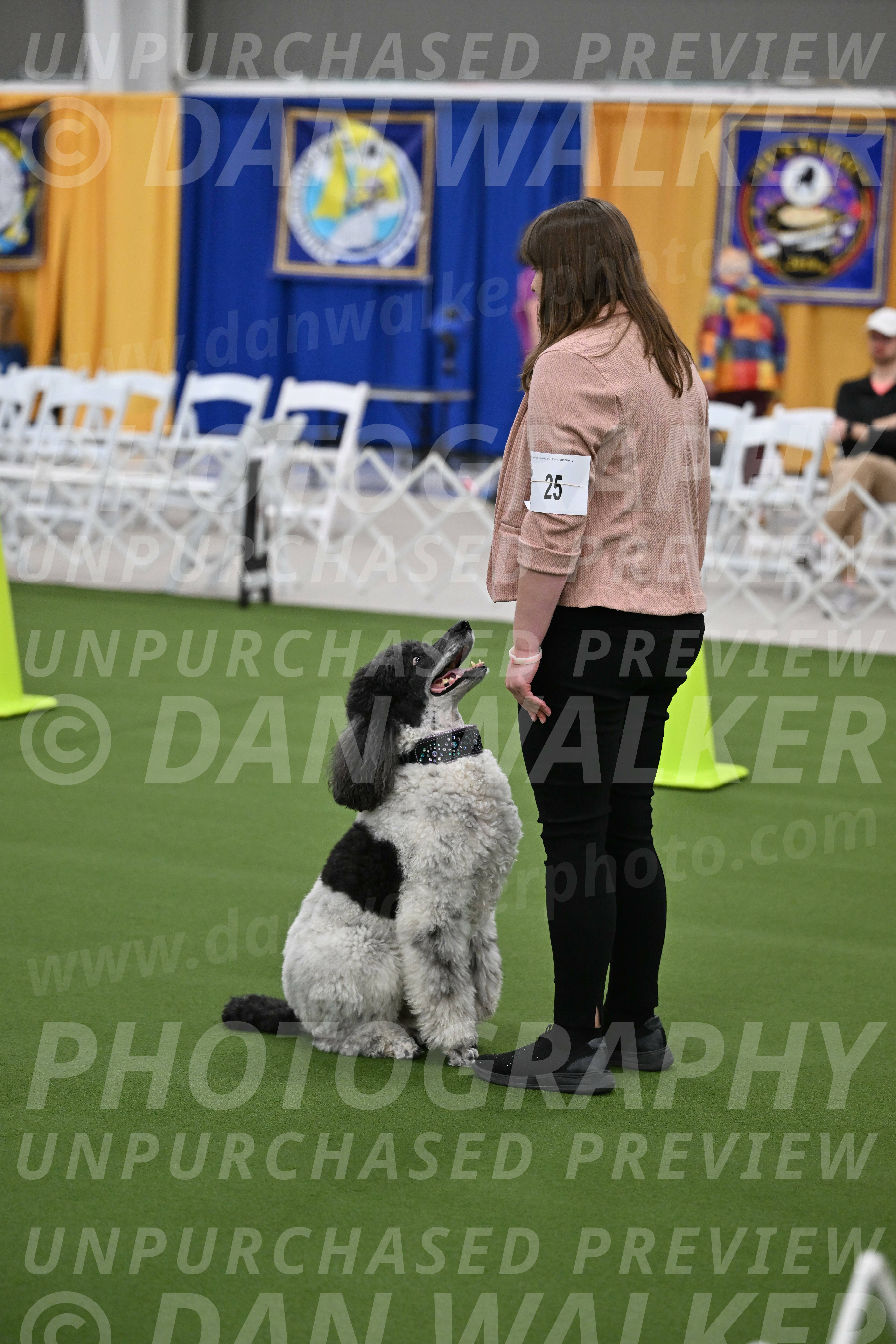 Ring-2-Morning-Obedience_0373