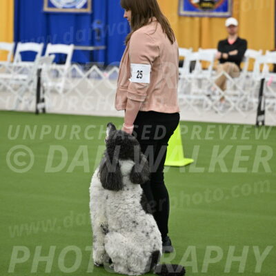 Ring-2-Morning-Obedience_0374