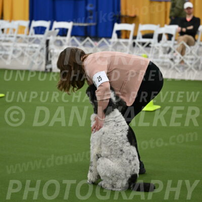 Ring-2-Morning-Obedience_0375