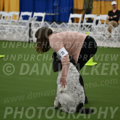 Ring-2-Morning-Obedience_0379