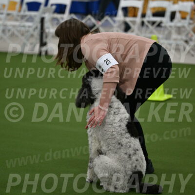 Ring-2-Morning-Obedience_0383