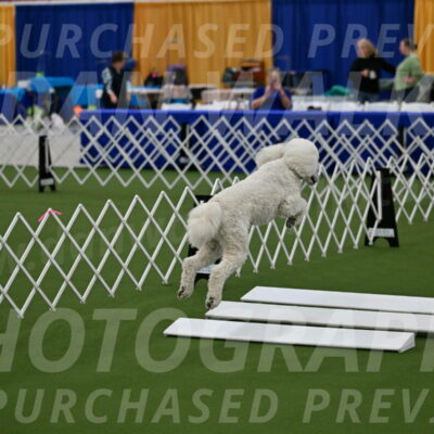 Ring-2-Morning-Obedience_0446