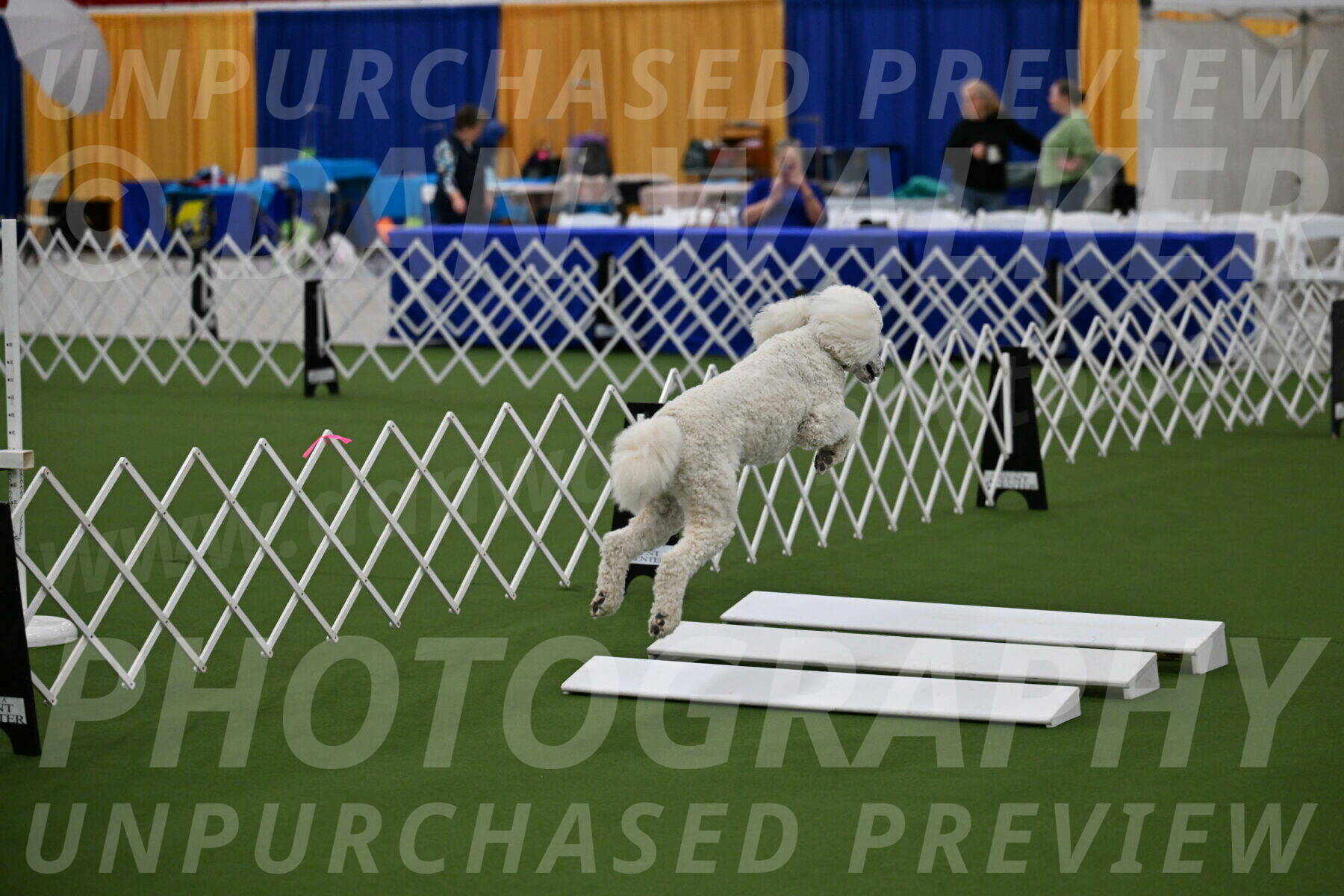 Ring-2-Morning-Obedience_0446