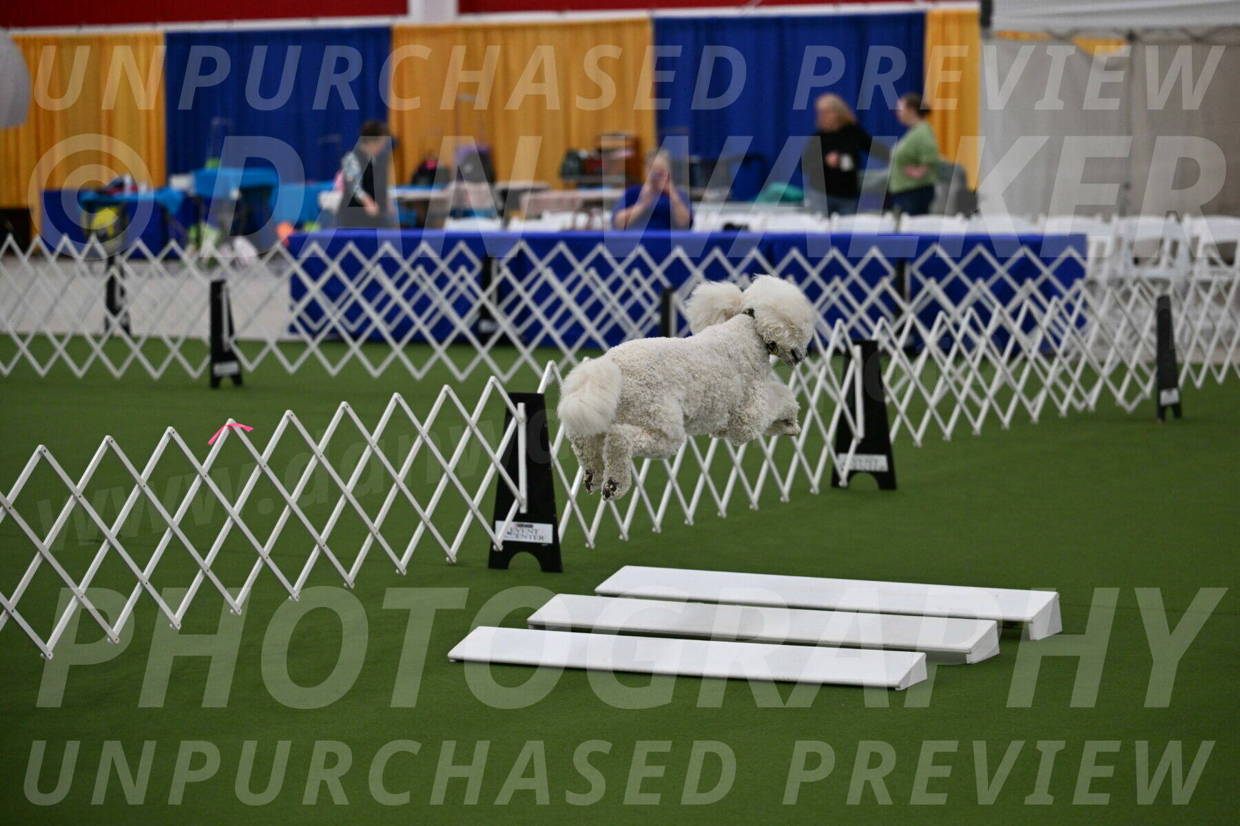 Ring-2-Morning-Obedience_0447