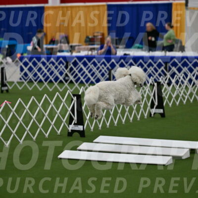 Ring-2-Morning-Obedience_0447