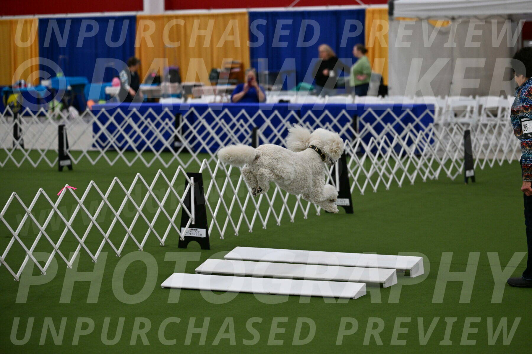 Ring-2-Morning-Obedience_0448