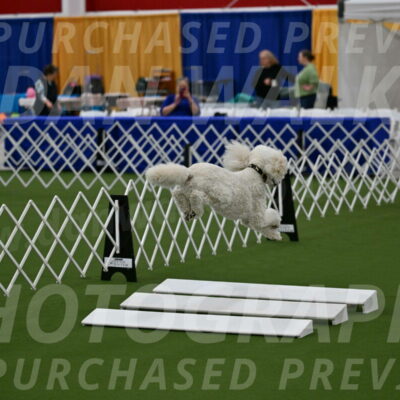 Ring-2-Morning-Obedience_0448