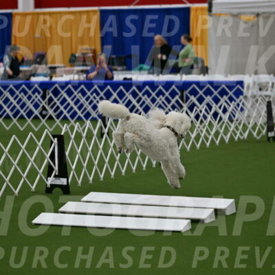 Ring-2-Morning-Obedience_0449