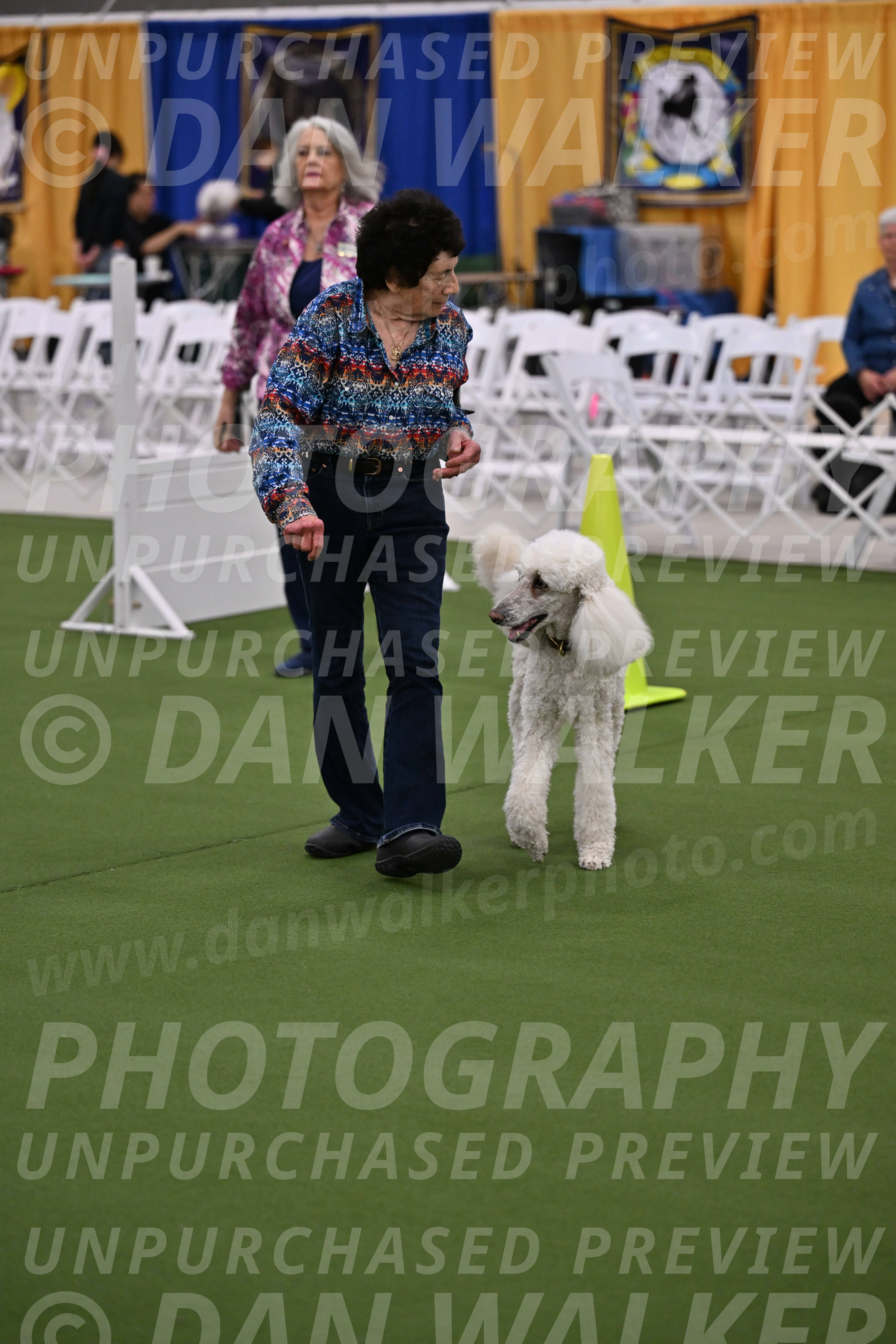 Ring-2-Morning-Obedience_0577