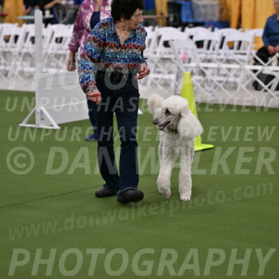 Ring-2-Morning-Obedience_0577