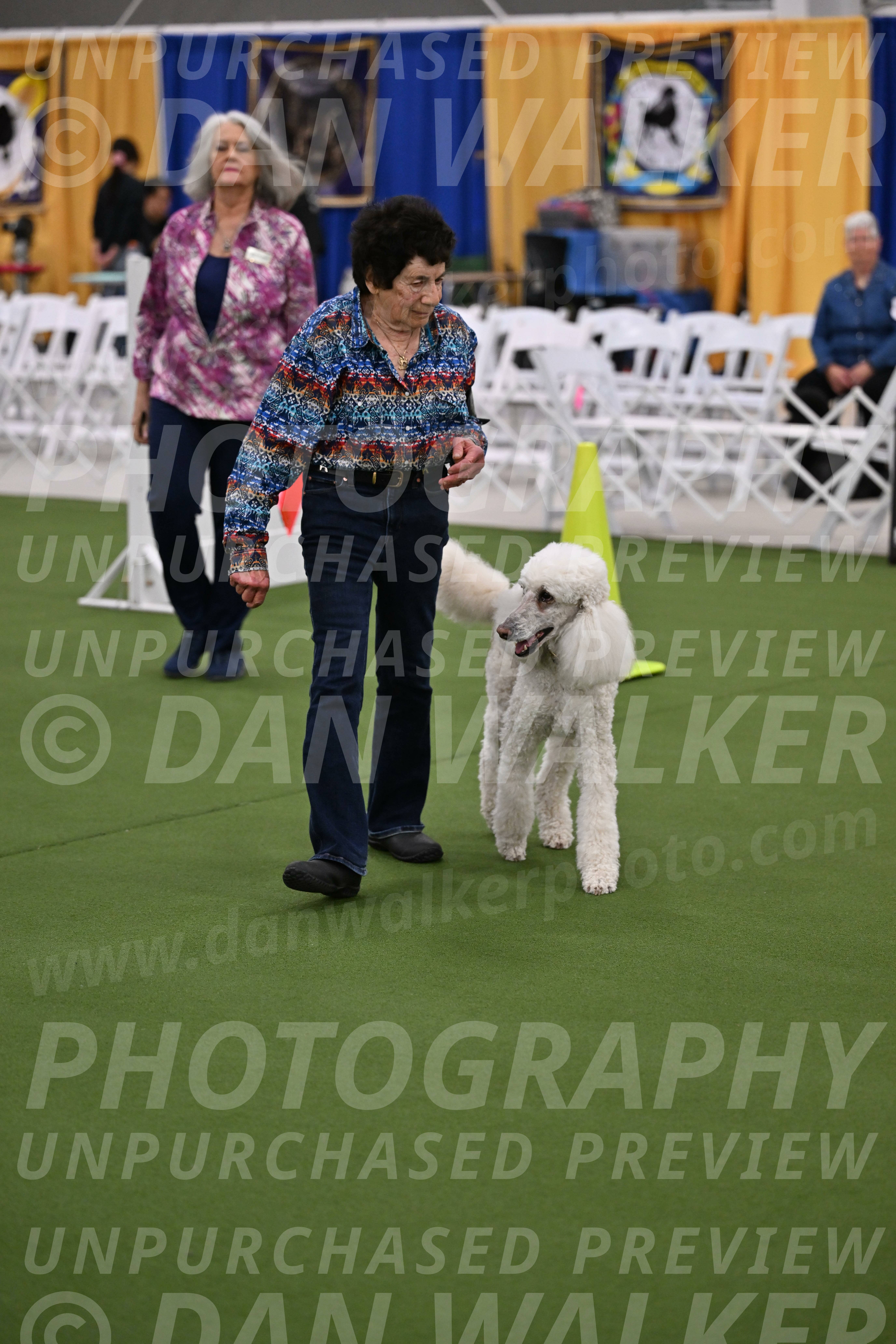 Ring-2-Morning-Obedience_0581