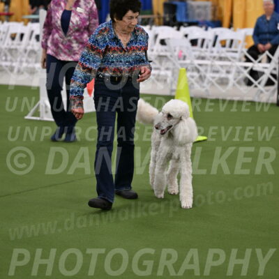 Ring-2-Morning-Obedience_0581