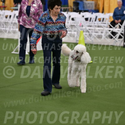 Ring-2-Morning-Obedience_0582