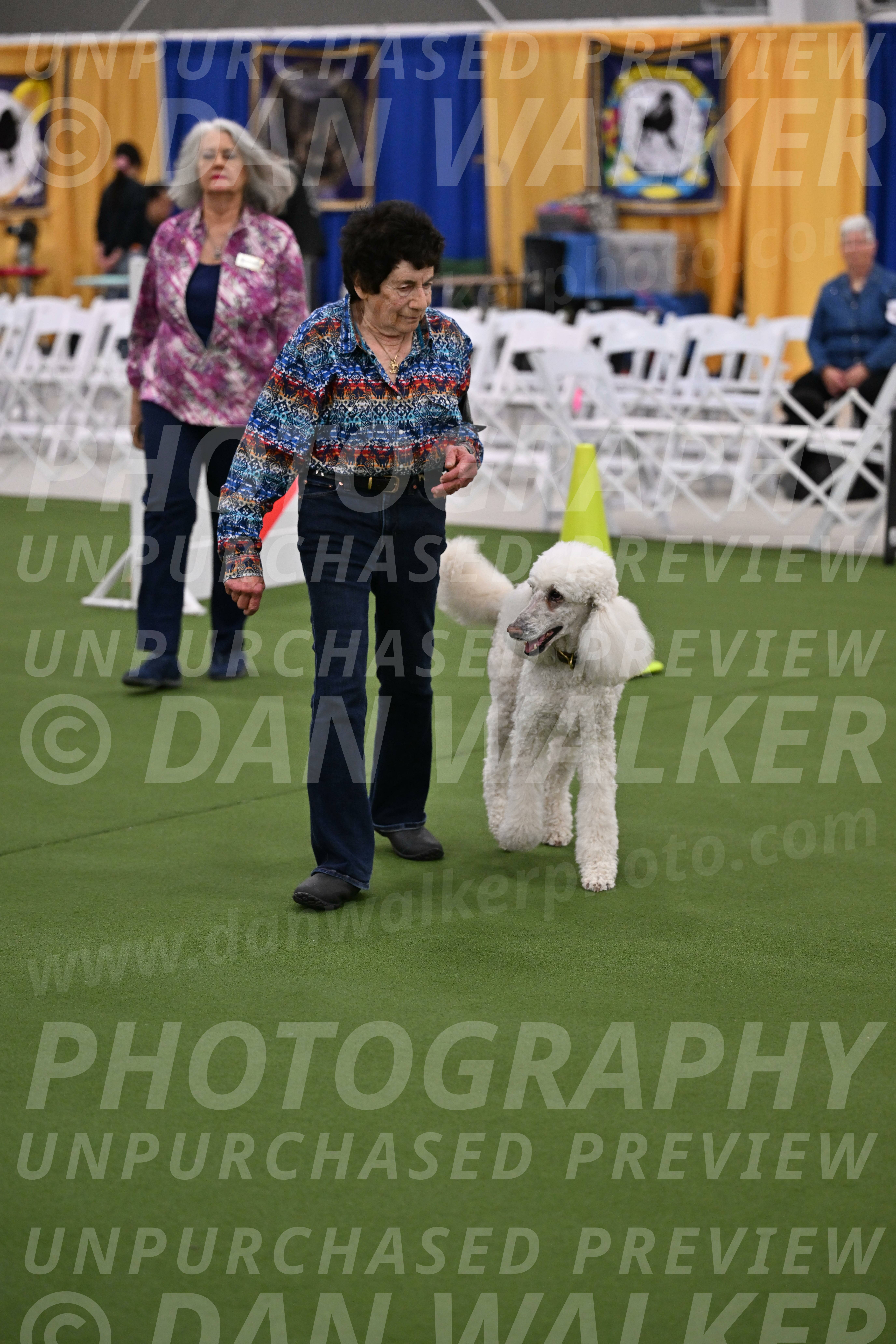 Ring-2-Morning-Obedience_0582