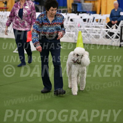 Ring-2-Morning-Obedience_0584